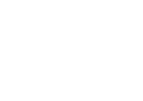 kt-white-noborder-transparent